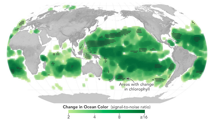 The image consists of a virtual representation of the earth, a flattened map of the globe with Africa taking up the left-most point and the Americas on the right. All land is in a gray shade while the ocean is white. In parts of the ocean, primarily around the equator and spreading north and south from there, are blots of various shades of green. A bar below the map shows what the shades of green represent – change in ocean color. The lightest green is less change while the darker green shades represent a greater change in ocean color.