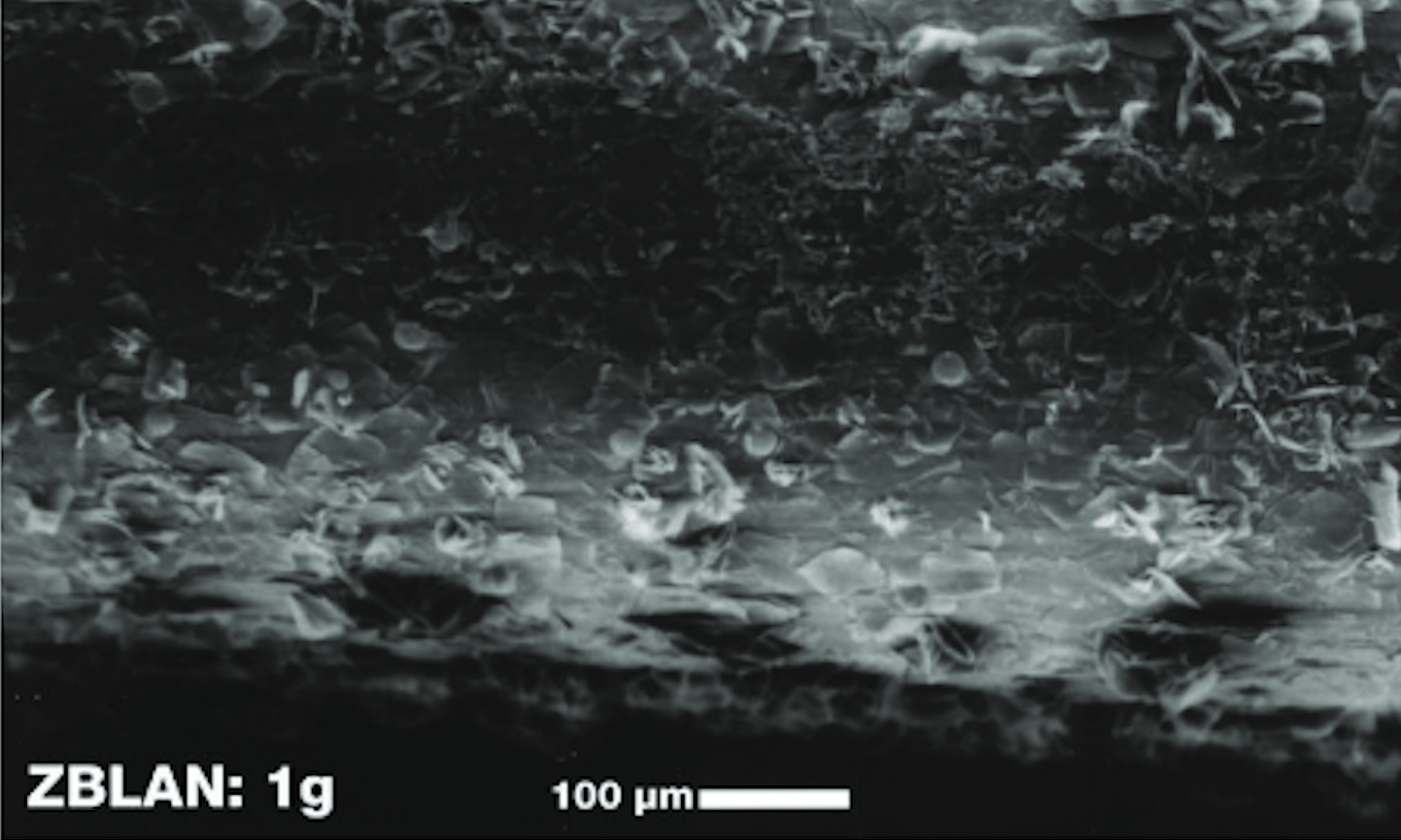 This top image shows a highly magnified fiber with a surface covered in multiple flakes and bumps.