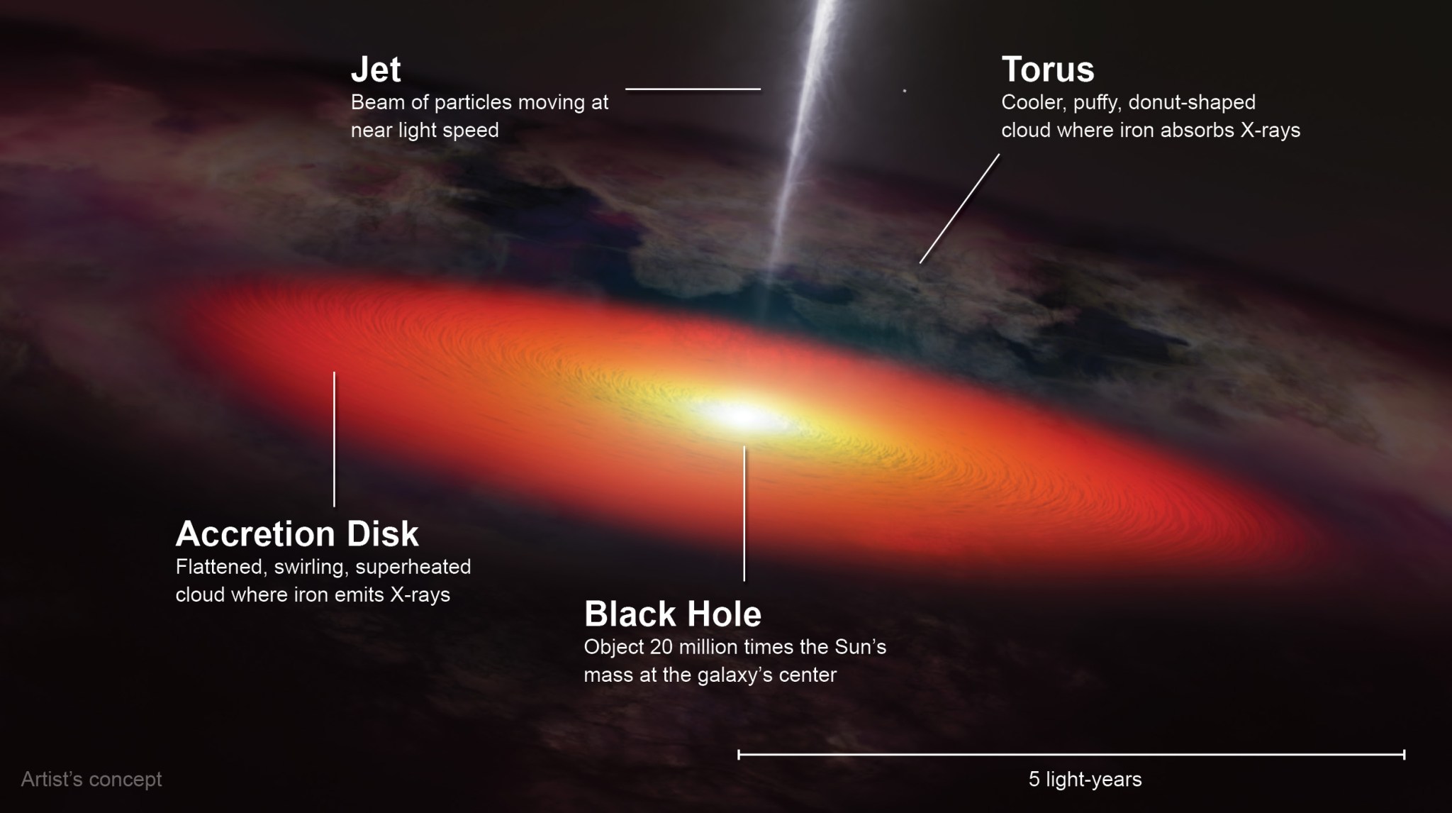 A labeled diagram showing key components of an active galaxy.