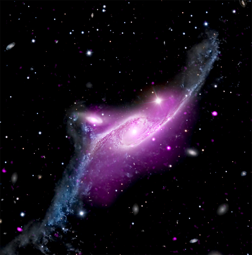 In this composite image, a large spiral galaxy has some of its superheated gas stolen by a smaller, nearby neighbor. Centered in the frame, NGC 6872 is a large spiral galaxy with two elongated arms that stretch toward our upper right and lower left. Near the white dot at the heart of the galaxy, a cloud of neon purple tints the arms, which appear steel blue at the tips. The purple represents hot gas detected by Chandra. Just to the upper left of NGC 6872 is a second spiral galaxy. Its spiraling arms are much smaller, but the bright white dot at its core is quite large, suggesting a supermassive black hole. Some of the steel blue matter and gas from NGC 6872’s lower arm appears to be floating toward the smaller galaxy, likely pulled toward the supermassive black hole.