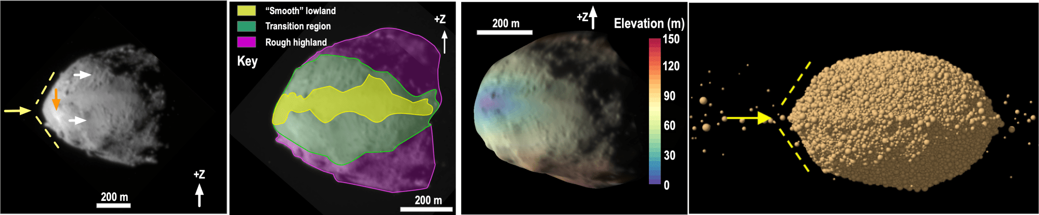 The asteroid’s triangular ridge (first panel from left), and the so-called smooth region, and its likely older, rougher “highland” region (second panel from left) can be explained through a combination of slope processes controlled by elevation (third panel from left). The fourth panel shows the effects of spin-up disruption that Didymos likely underwent to form Dimorphos.