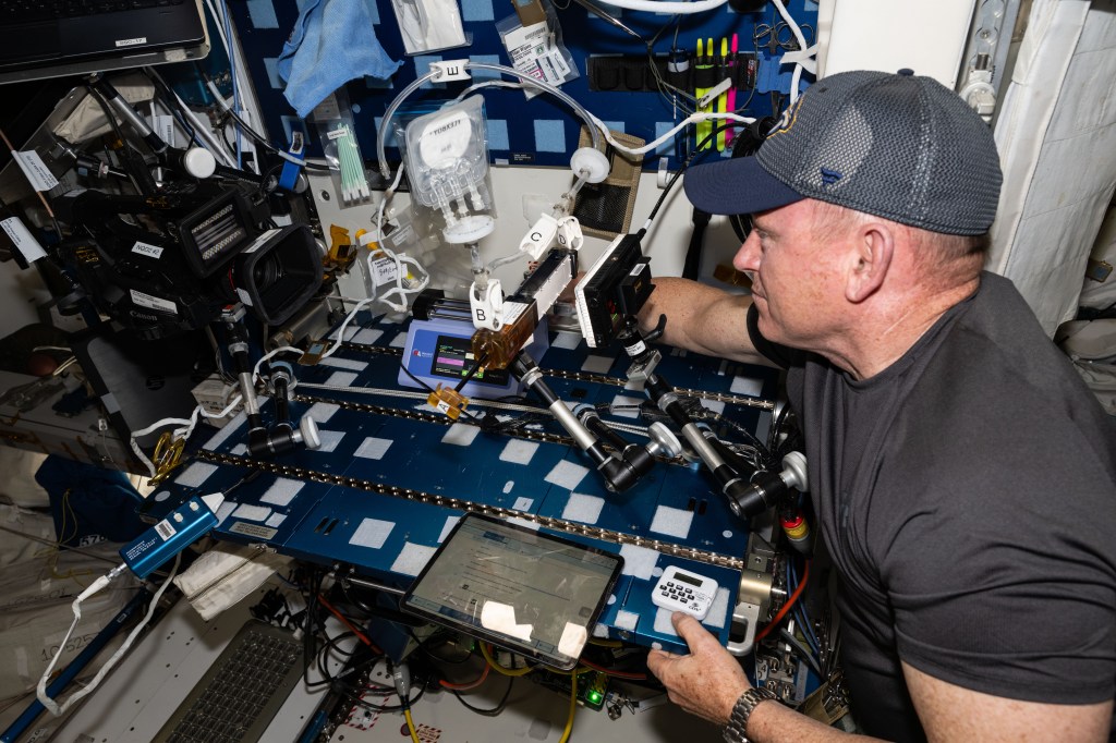 NASA Astronaut Butch Wilmore processes samples for the Gaucho Lung experiment. Several pieces are floating, labeled with letters. To Wilmore’s left is an iPad with instructions about conducting the experiment.