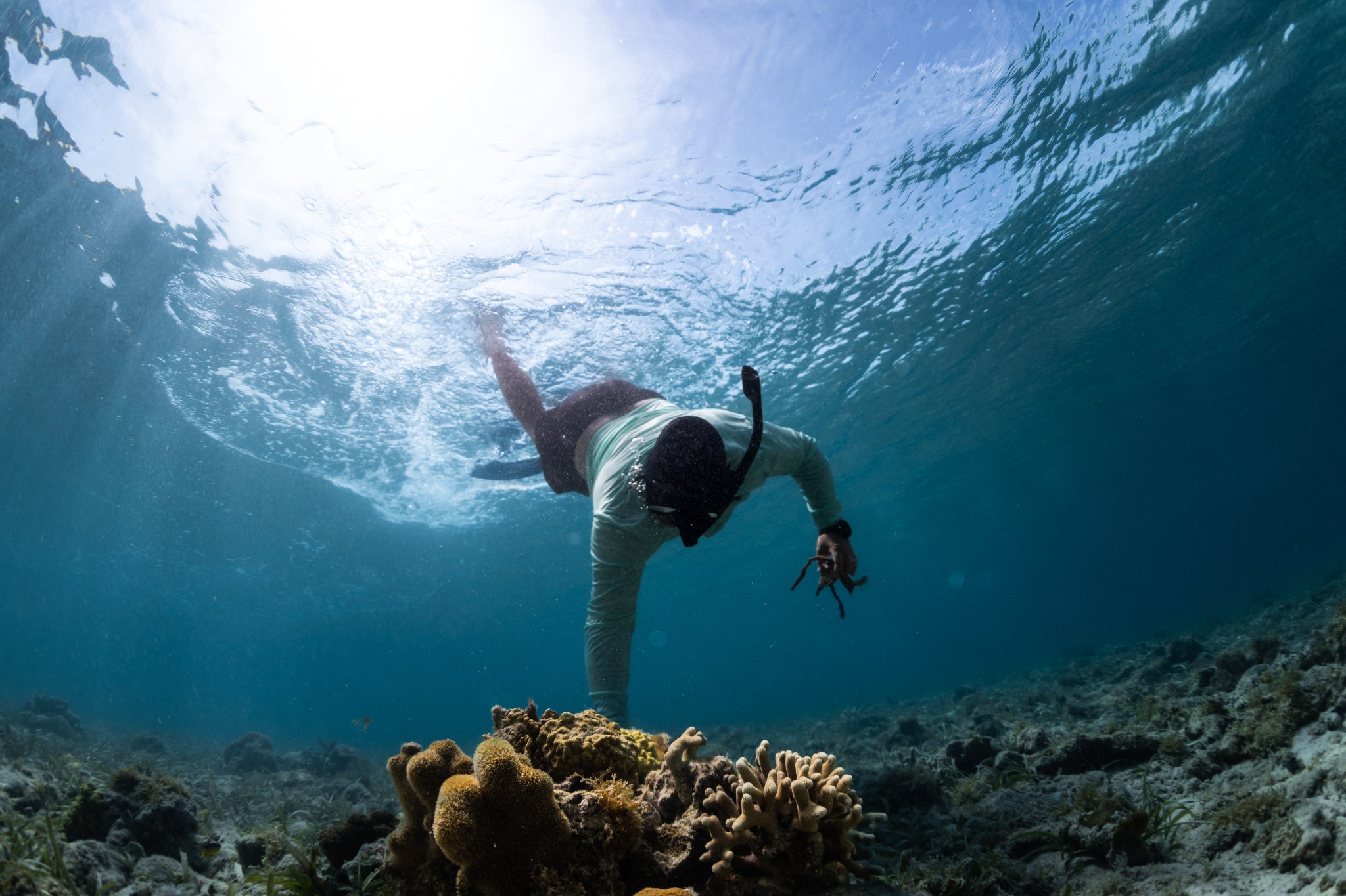 Shot from the sea floor looking up, a man in snorkeling equipment and a teal shirt is silhouetted against the blue water and the bright light of the sun, visible at the ocean's surface. In the bottom-center of the frame is a lumpy mass of brown-orange coral.