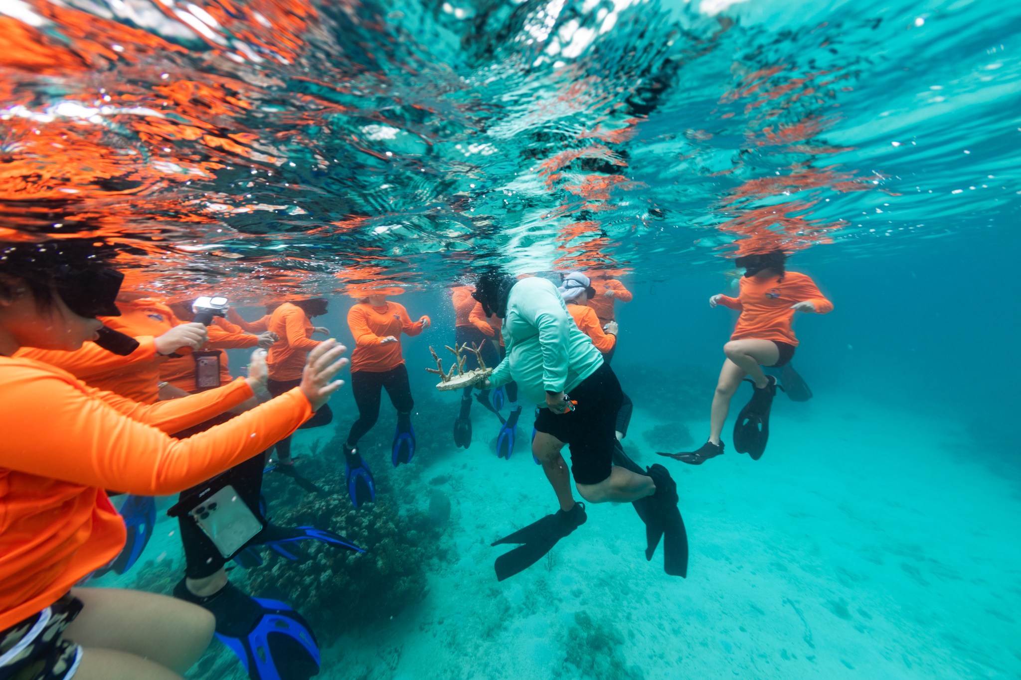 A man wearing a teal long-sleeve and black short holds a white 3D-printed staghorn coral clump, which looks like a dinner plate with three nine-inch tree trunks sprouting from it. Around him, about a dozen high school interns in orange long-sleeve shirts and snorkel gear tread water in the teal blue of the bay.