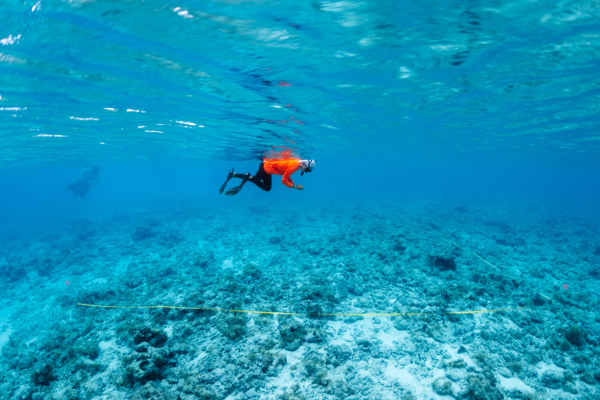 A female high schooler in an orange long-sleeve shirt, black leggings, and snorkel equipment swims parallel to the sea floor, holding a compact camera. The ocean floor is a pale teal covered in bumpy coral, with a thin yellow line of a tape measure running through it.