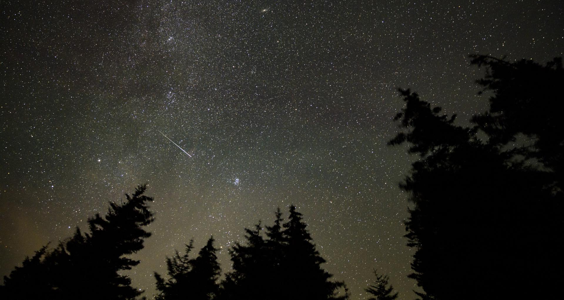 A bright meteor leaves a trail of light amongst a sky full of stars. Silhouettes of trees frame the bottom of the image.