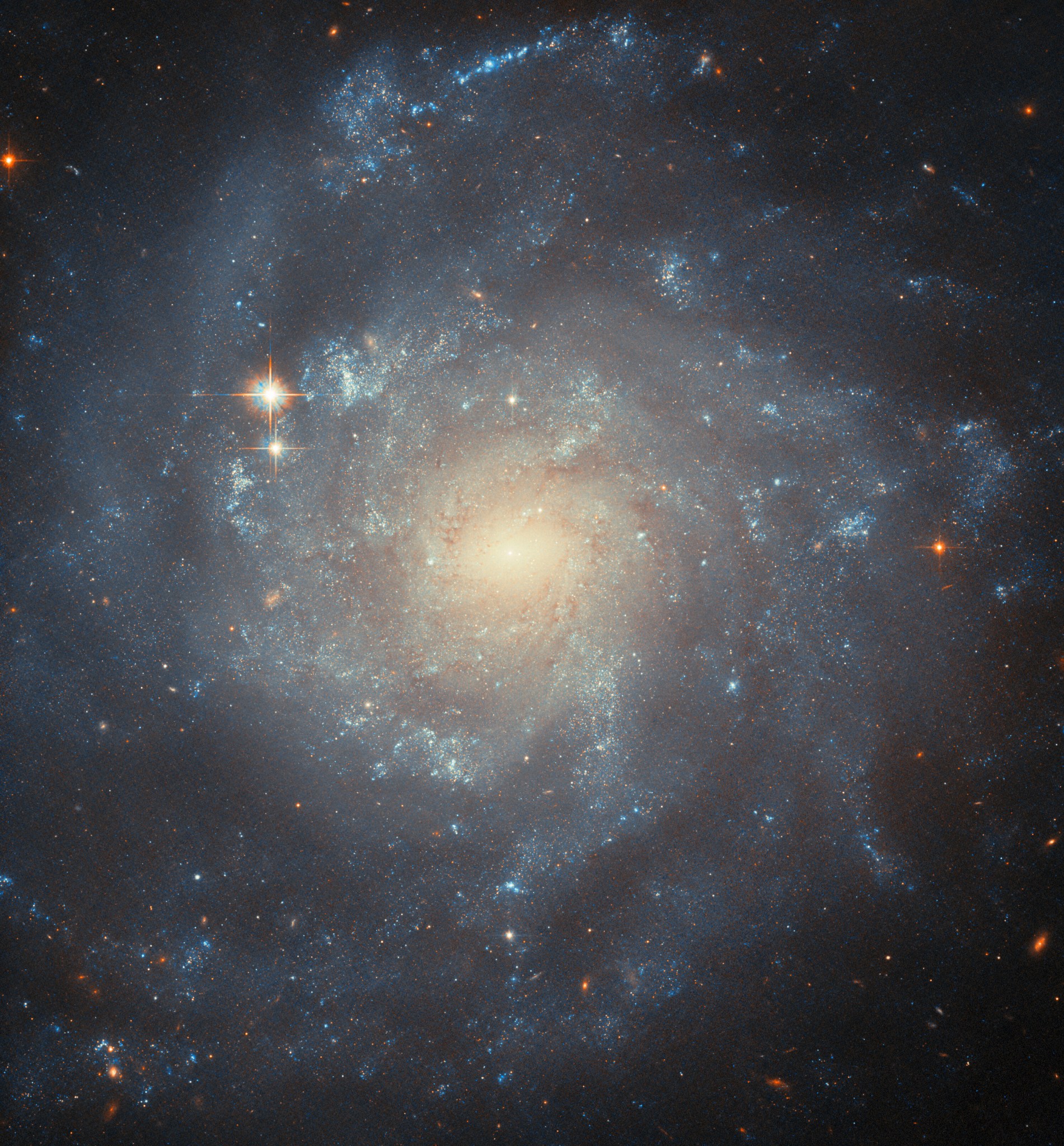 A spiral galaxy, seen up close and face-on. It is colored yellow and glowing brightly at the oval-shaped center, showing older and cooler stars, and it becomes bluer out to the edge of the disc where the stars are younger and hotter. It has a number of somewhat patchy spiral arms curling around, with sparkling areas where stars form. The black background is visible in the corners.