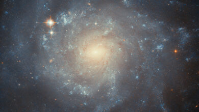 hubble-ngc5668-potw2437a.jpg