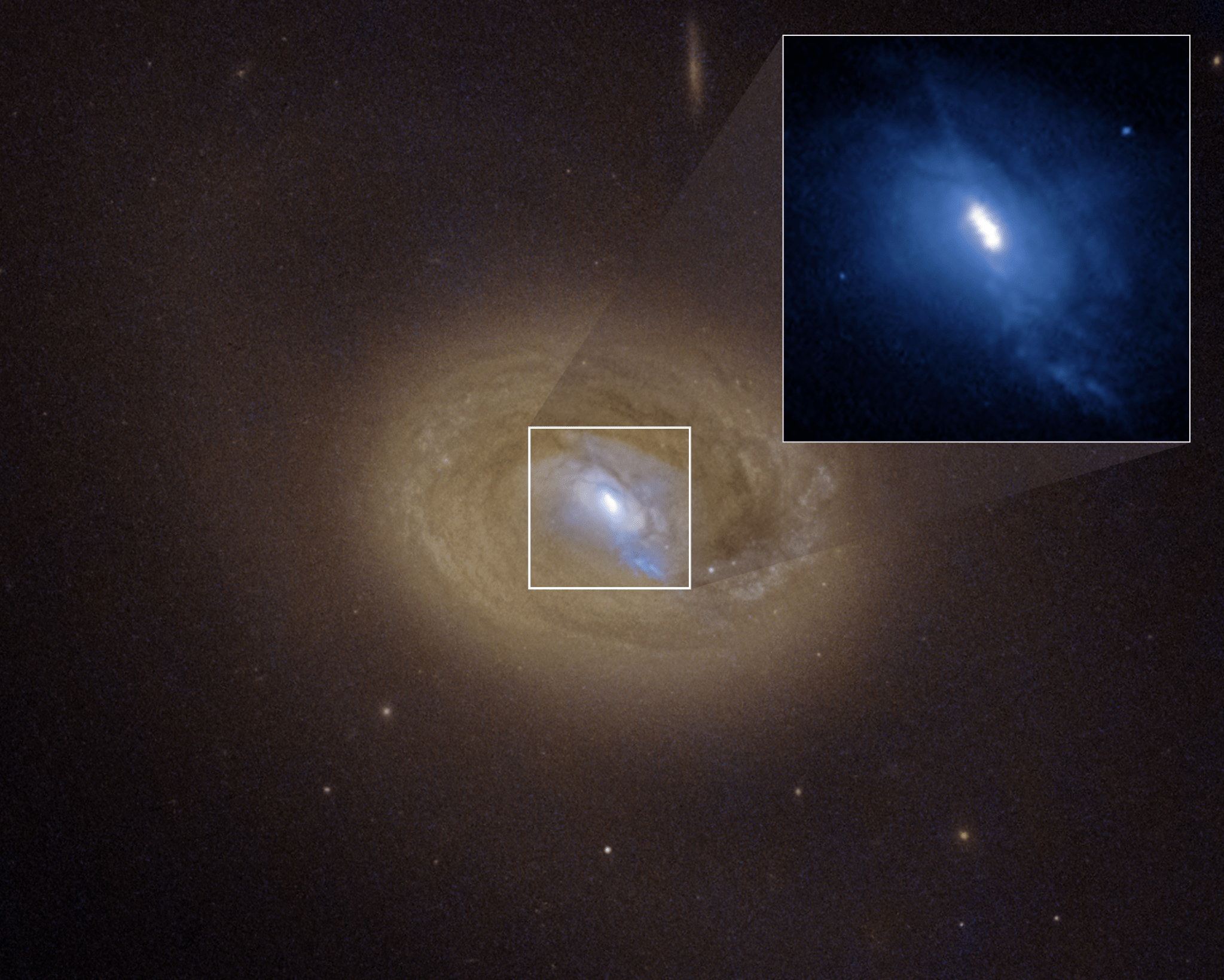 A Hubble Space Telescope visible-light image of the galaxy MCG-03-34-064. Hubble's sharp view reveals three distinct bright spots embedded in a white ellipse at the galaxy's center (expanded in an inset image at upper right). Two of these bright spots are the source of strong X-ray emission, a telltale sign that they are supermassive black holes. The black holes shine brightly because they are converting infalling matter into energy, and blaze across space as active galactic nuclei. Their separation is about 300 light-years. The third spot is a blob of bright gas. The blue streak pointing to the 5 o'clock position may be a jet fired from one of the black holes. The black hole pair is a result of a merger between two galaxies that will eventually collide.