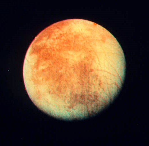 Image of an orange globe with darker patches and stripes, against a black backgeound.