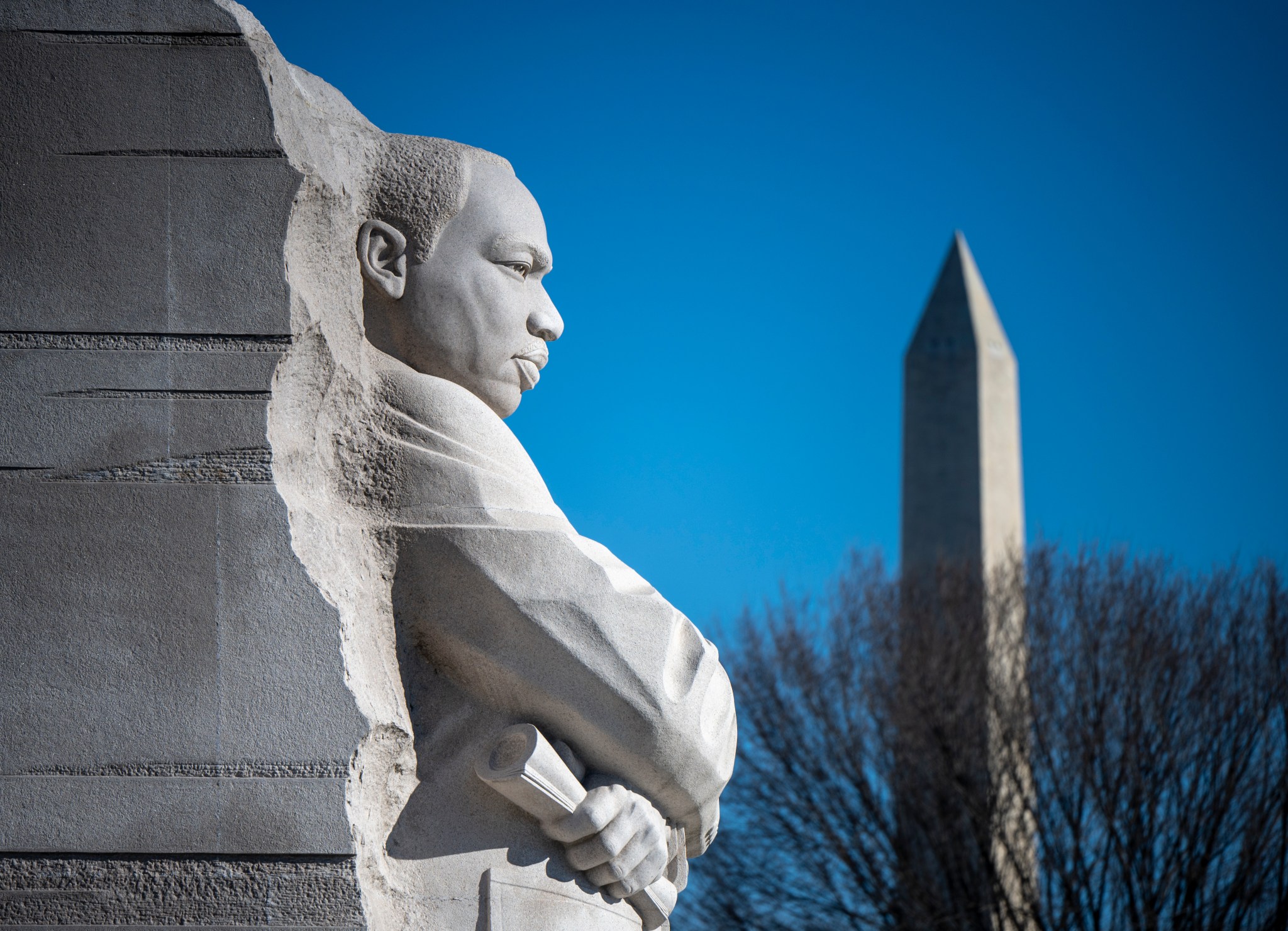 A close-up image of a light gray stone statue of Martin Luther King, Jr. in Washington. The Washington Monument is visible in the background, behind the leafless branches of a tree.